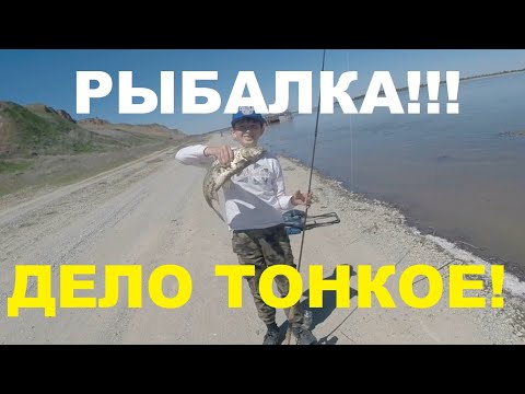 Видео: Рыбалка. Дело, тонкое!