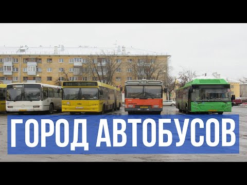 Видео: Автобусы Пскова. Огромное разнообразие автобусов