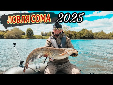 Видео: Рыбалка на сома 2025, ловим сома на квок