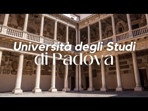 Видео: УНИВЕРСИТЕТ ПАДУИ | моя программа и стипендии