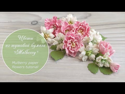 Видео: Цветы из тутовой бумаги «Mulberry» / Mulberry paper flowers tutorial