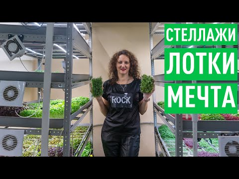 Видео: Бизнес на микрозелени доступный каждому