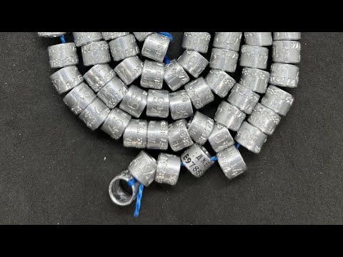 Видео: КРЫМСКАЯ ВЫСТОВКА, ЯРМАРКА ГОЛУБЕЙ. с. Желябовка. 4.10.2025г.