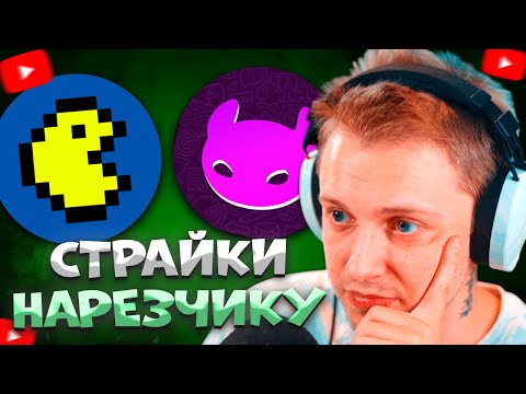 Видео: СТИНТ РАЗБИРАЕТ СИТУАЦИЮ СО СТРАЙКАМИ НАРЕЗЧИКУ