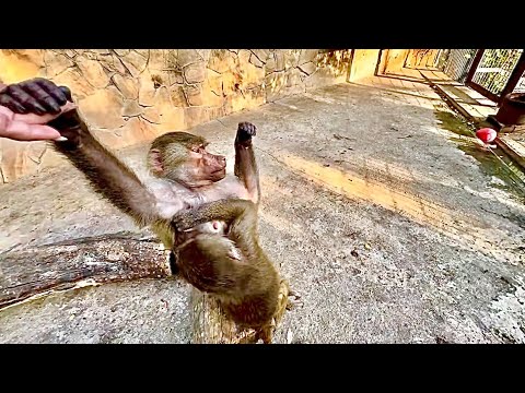 Видео: Пока Степа делает мне ШЕДЕВРАЛЬНУЮ прическу,Люська получает от девчонок такой релакс-это надо видеть
