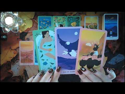 Видео: Рыбы♓ВАУ🤩🤯Удачный день🍀Новое изобилие и денежные поступления🤑Новый контракт📃Успешные переговоры🤝🥂🥳