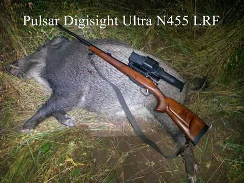 Видео: Охота на кабана с Pulsar Digisight Ultra N455 LRF и Axion ХМ 30S