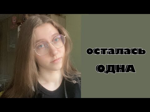 Видео: ОСТАЛАСЬ ОДНА | мои трудности