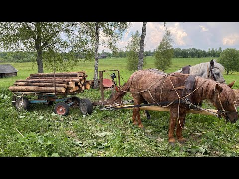 Видео: СДЕЛАЛ ЗАГОН ДЛЯ ЛОШАДЕЙ.