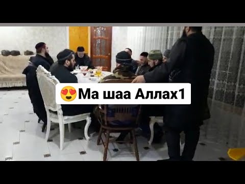 Видео: 😍Ингуш Халид и Лечи — ч1ог1 хаз назам.