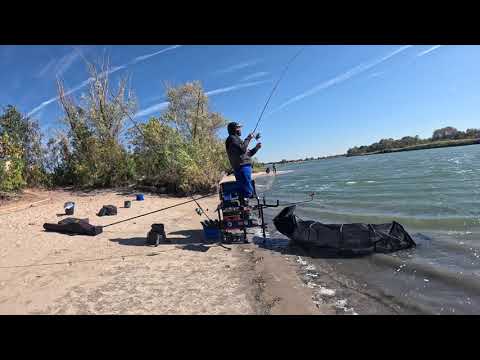 Видео: Отличная рыбалка на Дону. Рыбец и лещ.