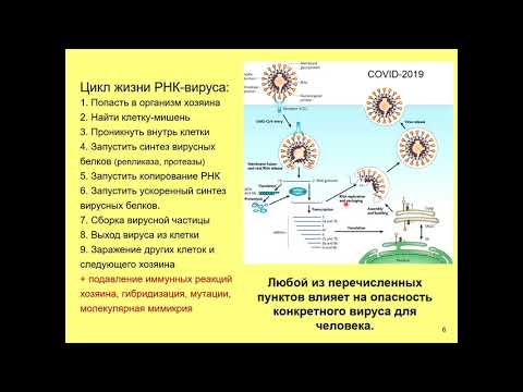 Видео: Дубынин В. А. - Физиология иммунитета - 8. Самые опасные вирусы: оспа, Эбола и др.