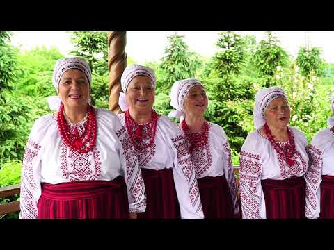 Видео: "Цвіт пахучий білий". Народний аматорський фольклорний колектив "Родичі", м. Ладижин