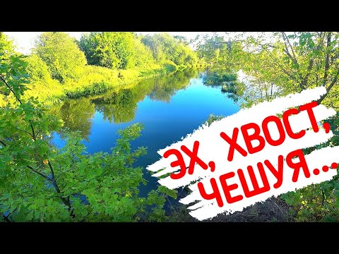 Видео: MIURAS MOUSE & BIG BANDIT. Приманки большие. Река маленькая. Луна полная.