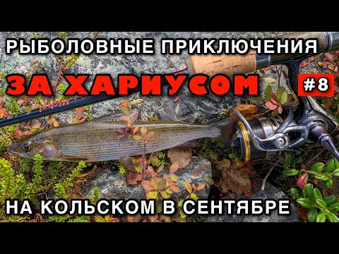 Видео: ХАРИУС на СПИННИНГ - Как поймать хариуса на блесну ? Рыбалка на Кольском полуострове с Пакрафта