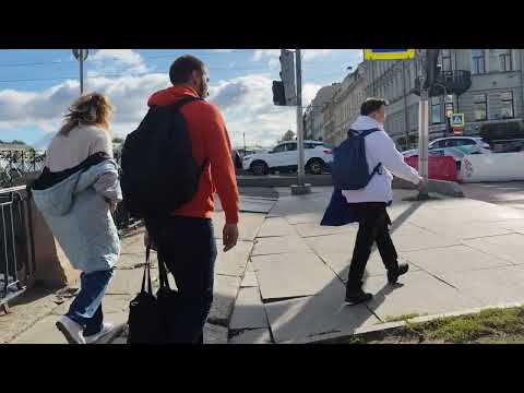 Видео: прогулка со слонами