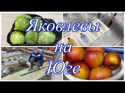 Видео: 721ч🏡14.11.25-ЛЮБИМЫЙ ВАСИЛЁК/Подарки от подписчиков/Диффузоры от сына/Лечение продолжается/