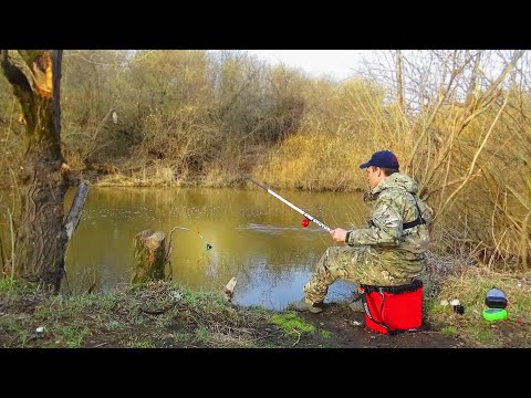 Видео: НА ПОПЛАВОК В УДОВОЛЬСТВИЕ!!! Рыбалка на малой реке весной