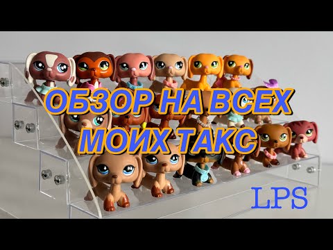 Видео: LPS: Я СОБРАЛА ВЕСЬ МОЛД ТАКС ВСЕГО ЗА ПОЛ ГОДА // ОБЗОР НА СОСИСОК😭