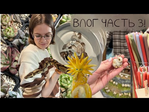 Видео: Влог! Последняя часть – Маркет у Моря, Керамания, Рептилиум – октябрь 2024