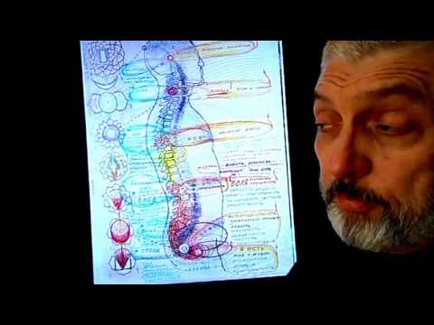 Видео: Споры, эмоции и разрушение пространства. Ум материален.