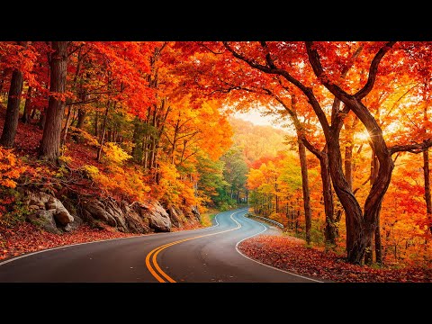 Видео: Целительная музыка для души 🍁 Осеннее пианино 🍂 Спокойная и умиротворяющая музыка для исцеления...