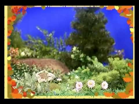 Видео: Сказки для самых маленьких. Добрые сказки дедушки Евсея. Смотри и слушай. Вып. 53. Пустой мешок