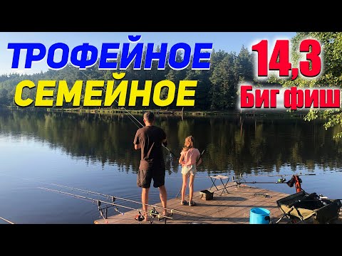 Видео: Ловля карпа семьей | Трофейное Капрфишинг
