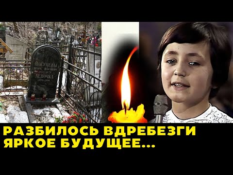 Видео: Светлая, но мимолетная Жизнь Лены Могучевой, исполнительницы песни "Пропала собака"