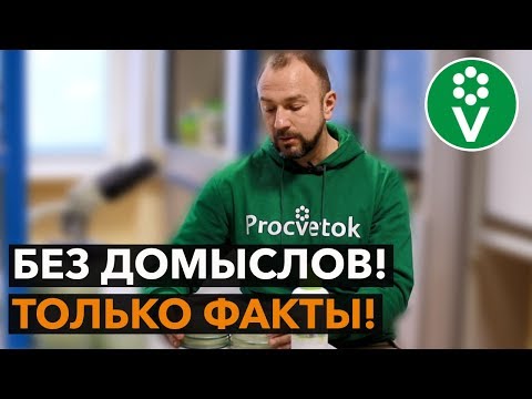 Видео: Так дружат ли СЕННАЯ ПАЛОЧКА и ТРИХОДЕРМА?