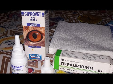 Видео: Лечим хламидиоз . Тетрациклиновая мазь. Ципровет капли. 🤧🤒👩‍🍳