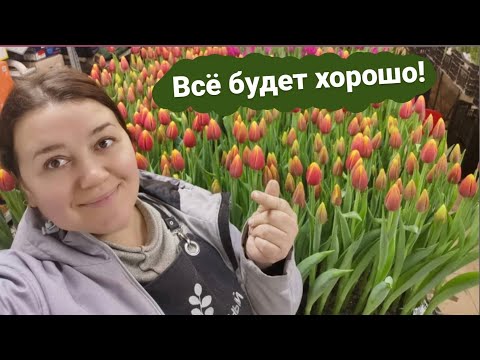 Видео: 🌷Неделя до 8 марта | Цветочный магазин | Тюльпаны в гараже 🌷 Итоги