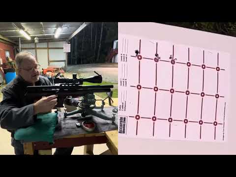 Видео: Pinty Bullpup на 50 ярдах.