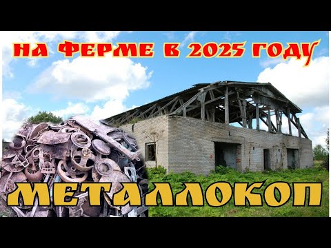 Видео: МЕТАЛЛОКОП  на ферме как есть,реали копа металла 2025 года