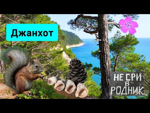 Видео: #152 Джанхот 2025. Голубая бездна. Дикий пляж на Юге #sumkiberry #морскаяцаревна #пойдемсомной