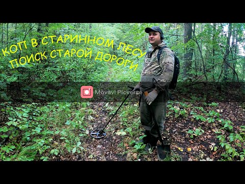 Видео: Коп с XP DEUS 2 в осеннем лесу. Ищем старую дорогу.