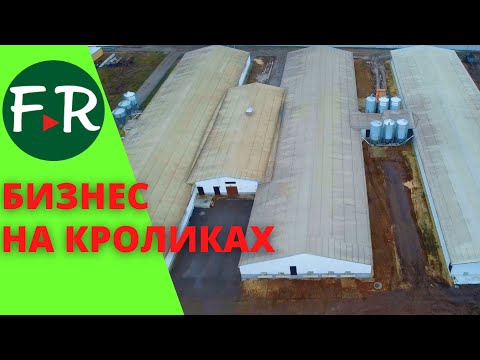 Видео: Фермерский бизнес на кроликах. Николай Корнеев. Кролиководческий комплекс Королик.