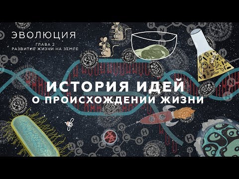 Видео: 4. История идей о происхождении жизни. Развитие жизни на Земле - 10 - 11 класс