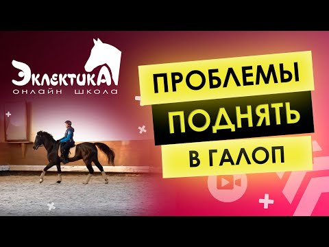Видео: Проблемы поднять в галоп. Конный спорт