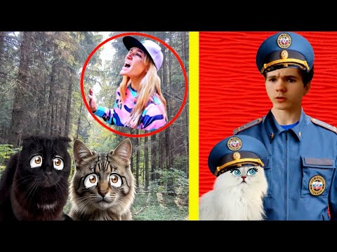 Видео: СПАСЕНИЕ ПРОПАВШИХ КОШЕК