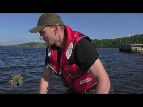 Видео: Северная Карелия .БЕЛОЕ МОРЕ 2024