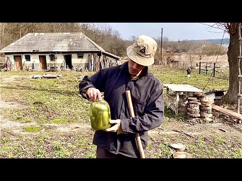Видео: Новий метод посадки огірків — не насінням, а саджанцями.