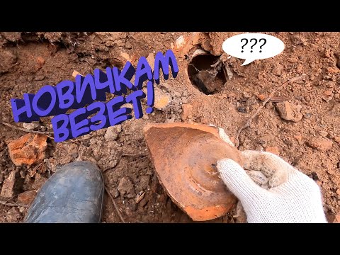 Видео: НОВИЧКАМ ВЕЗЕТ! Мой первый шурф)