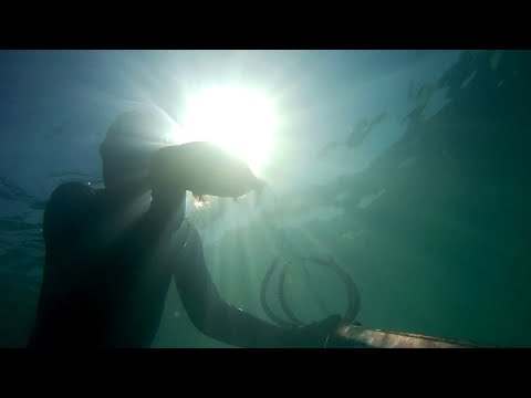 Видео: Чёрное море. Абхазия. Подводная охота. Видео двух охот в конце августа и начале сентября.