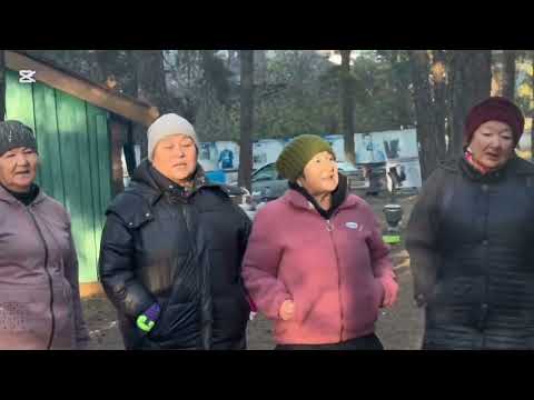 Видео: #Құстар қайтып барады#