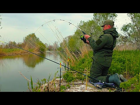Видео: ЗАБРАЛСЯ В РЕАЛЬНУЮ ДИЧЬ!!! Я ШОКИРОВАН УЛОВОМ!!! Рыбалка в самых диких местах.