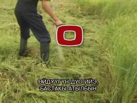 Видео: Айыы уола - Ийэ5э махтал