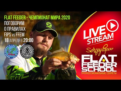 Видео: Правила Чемпионата Мира по ловле на FLAT FEEDER / #6 Лекция / FLAT FEEDER SCHOOL