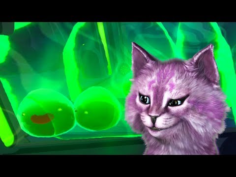 Видео: СИМУЛЯТОР ФЕРМЫ СЛИЗНЕЙ #5 РАДИОАКТИВНЫЕ СЛИЗНИ slime rancher говорящая КОШКА ЛАНА играет