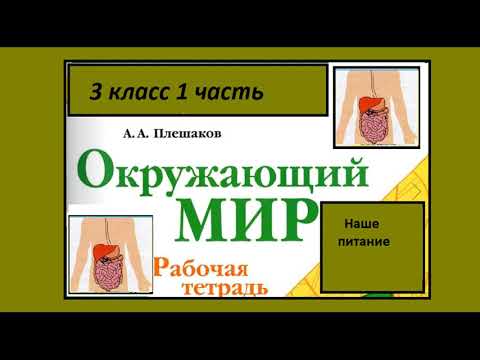 Видео: Окружающий мир 3 класс рабочая тетрадь. Наше питание